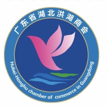 深圳市深国投科技有限公司